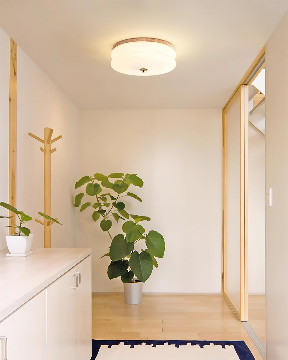 Cora Ceiling Light Double-Layer Glass Disc Walnut Minimalist