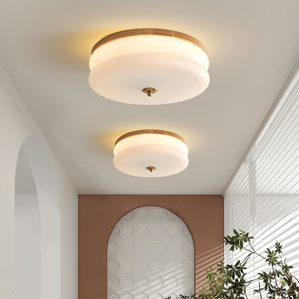 Cora Ceiling Light Double-Layer Glass Disc Walnut Minimalist