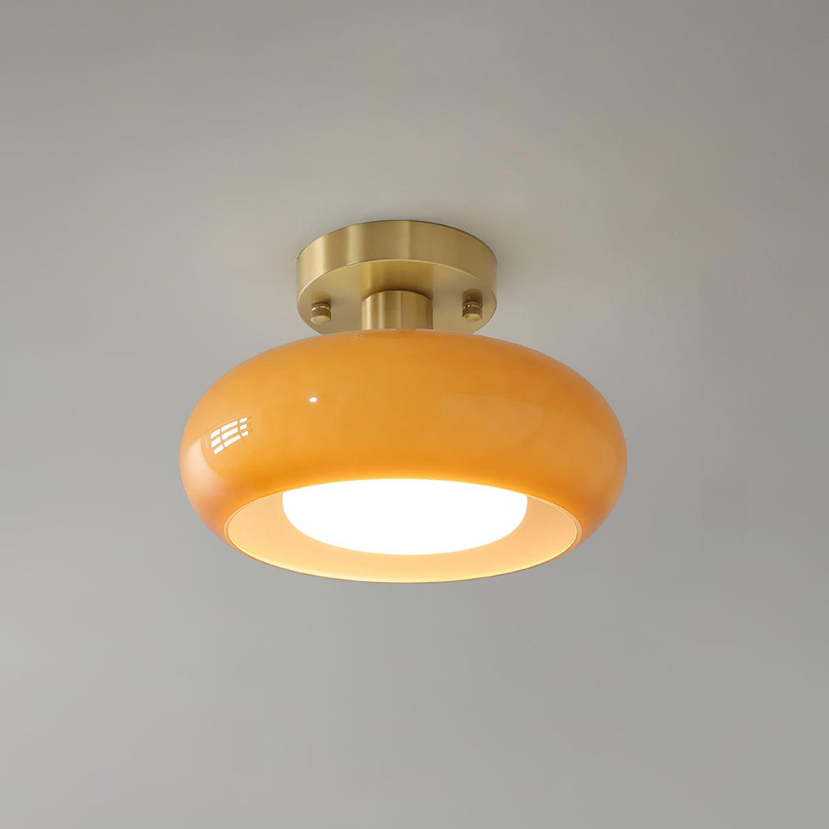 Liorelella Glass Ceiling Light