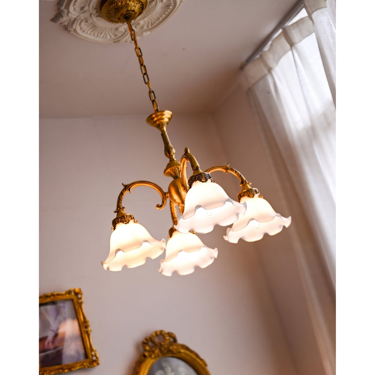 Ciranora Chandelier