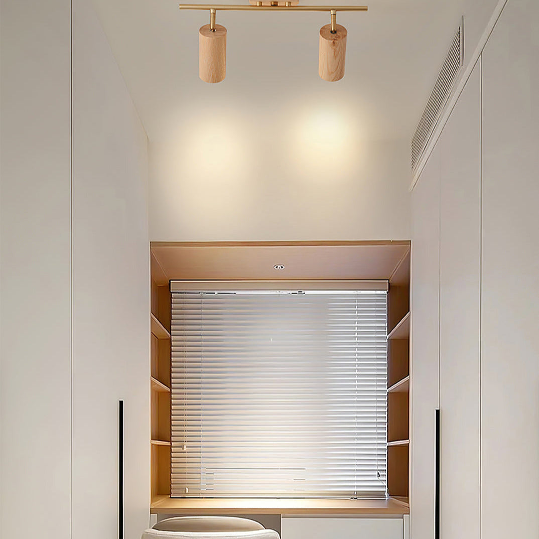 Ginemal Ceiling Light Spotlight