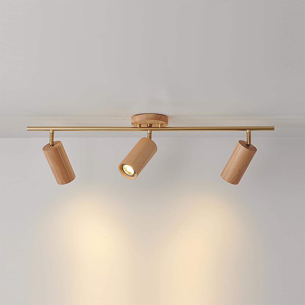 Ginemal Ceiling Light Spotlight