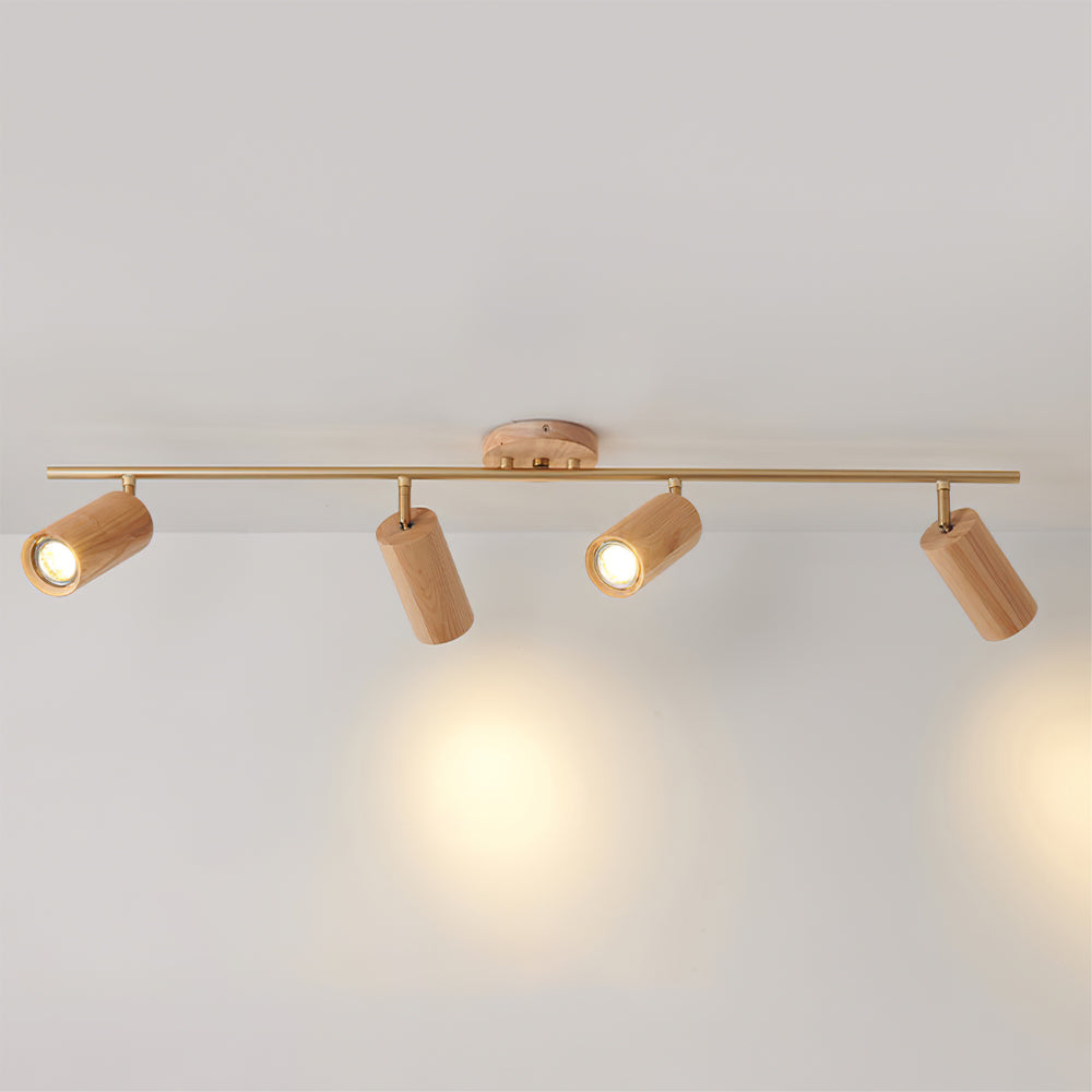 Ginemal Ceiling Light Spotlight