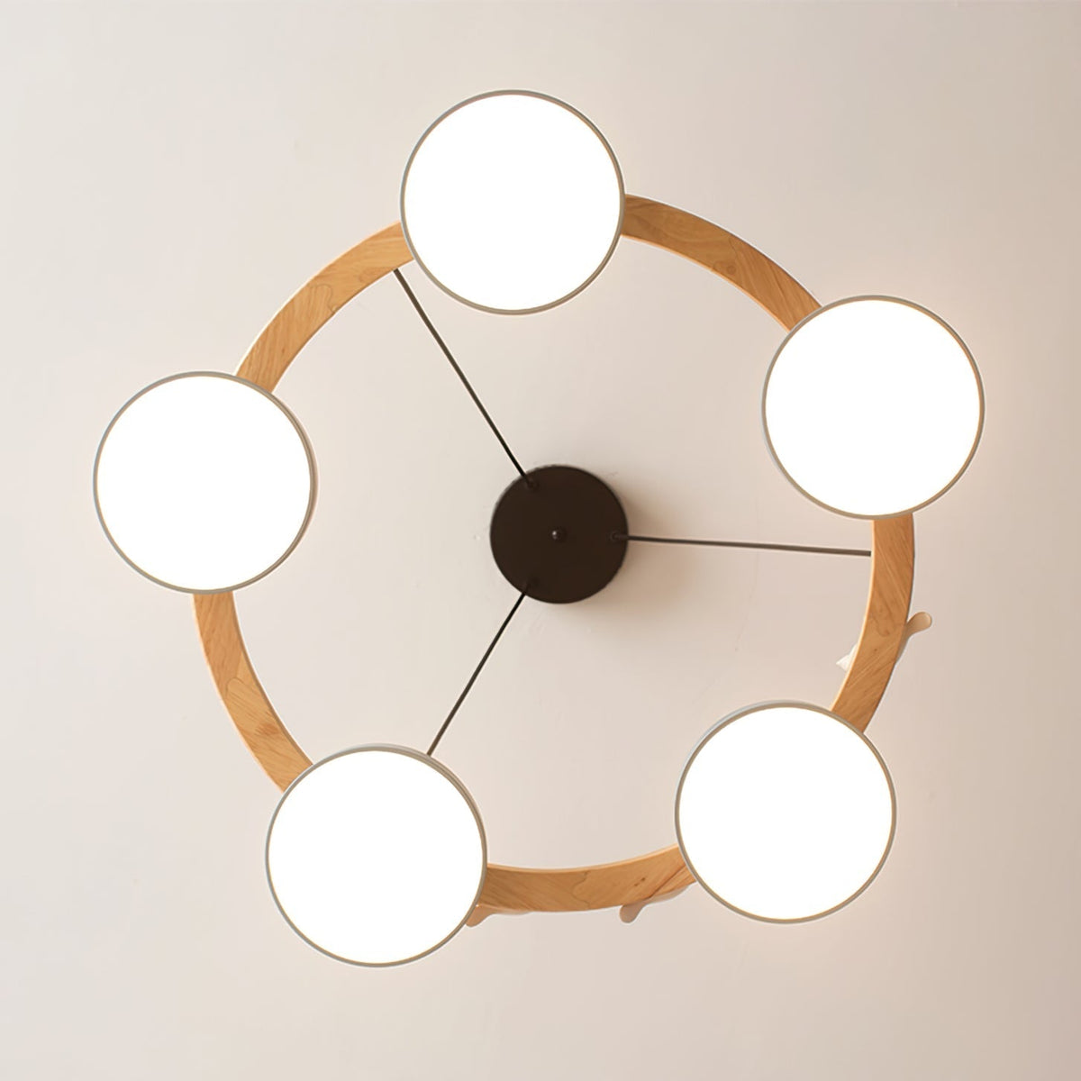 Tokagal Chandelier Bird Round