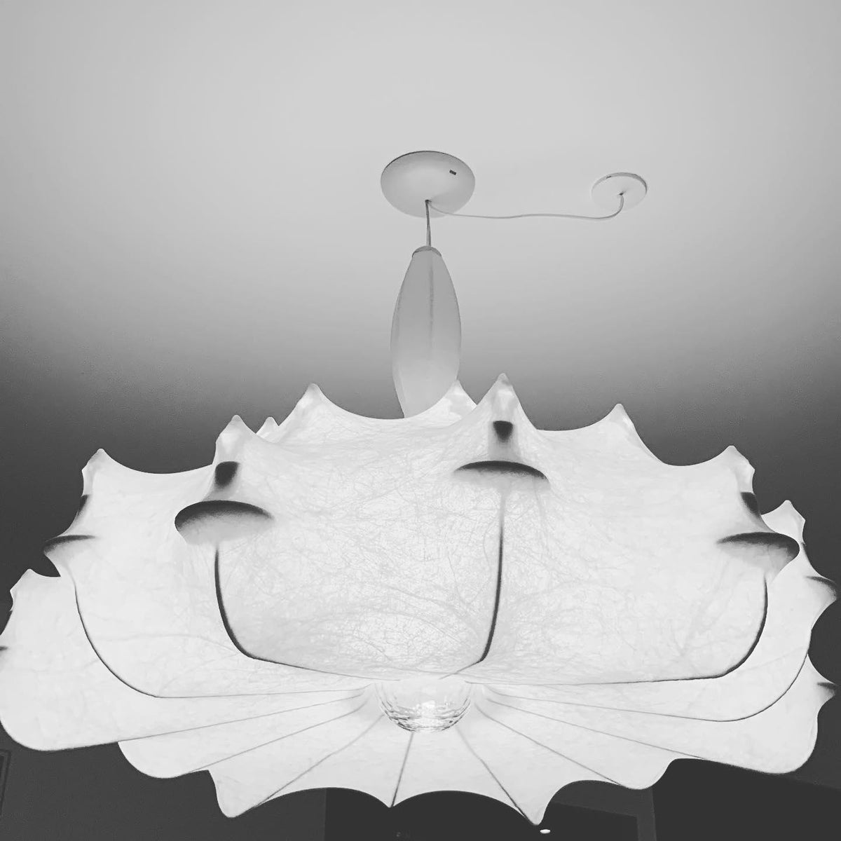 Noralette Pendant Light