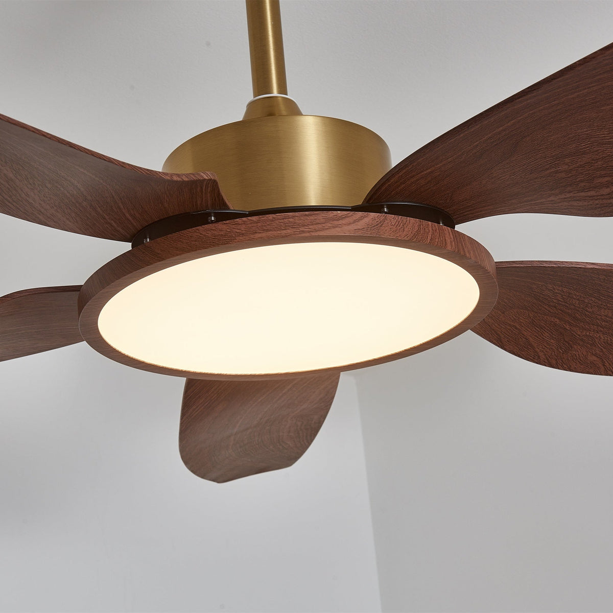Sylenel Modern Wood Brass Ceiling Fan Light