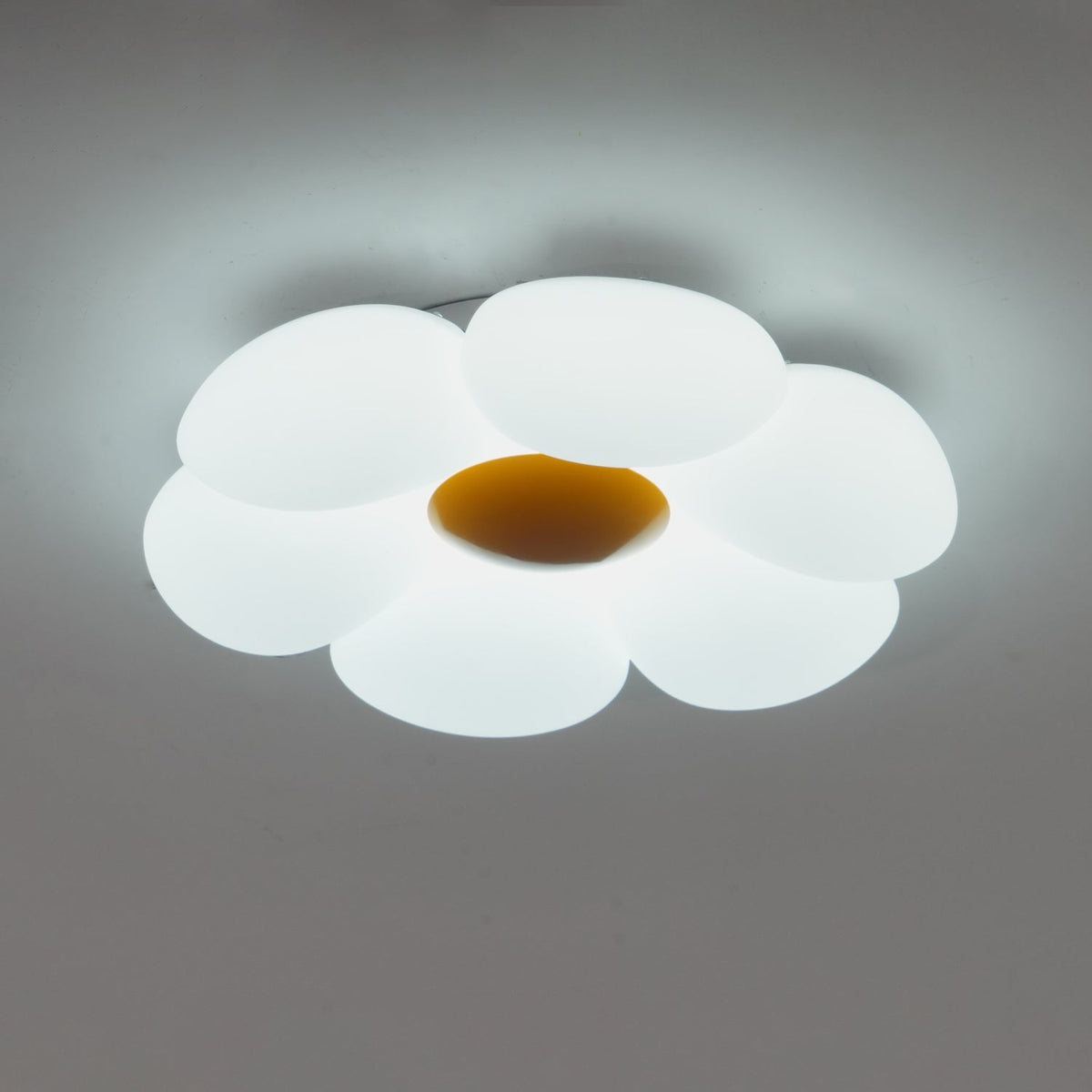 Liorinella Ceiling Lamp Six-Leaf Flower for Kids Room