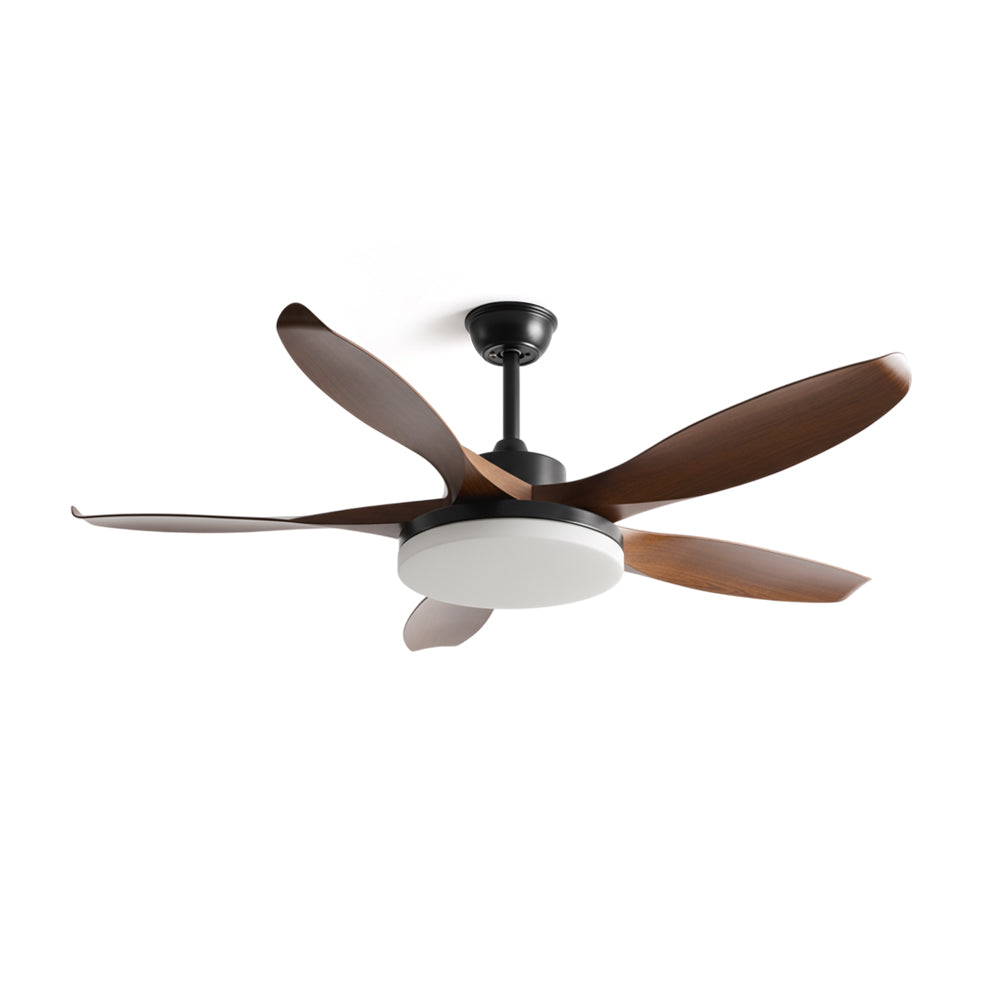 Liororeria Ceiling Fan Light