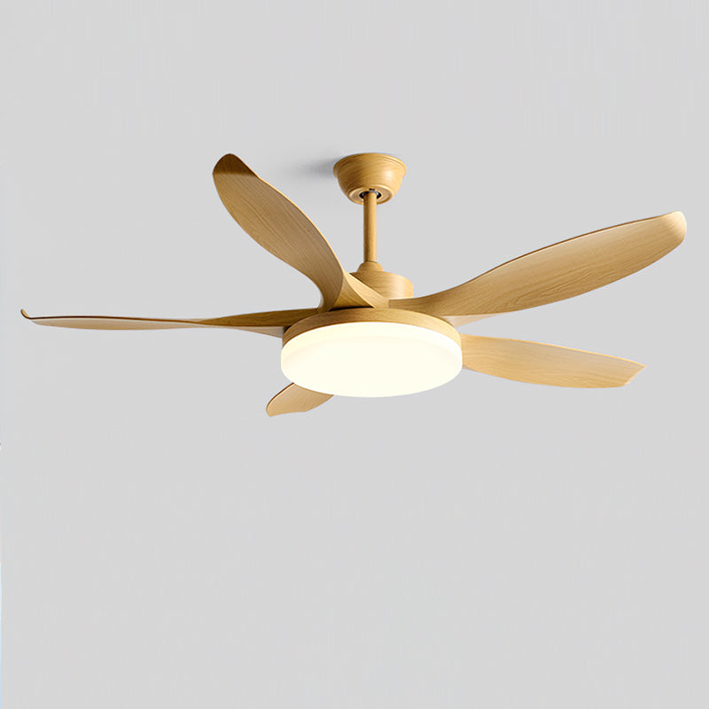 Liororeria Ceiling Fan Light