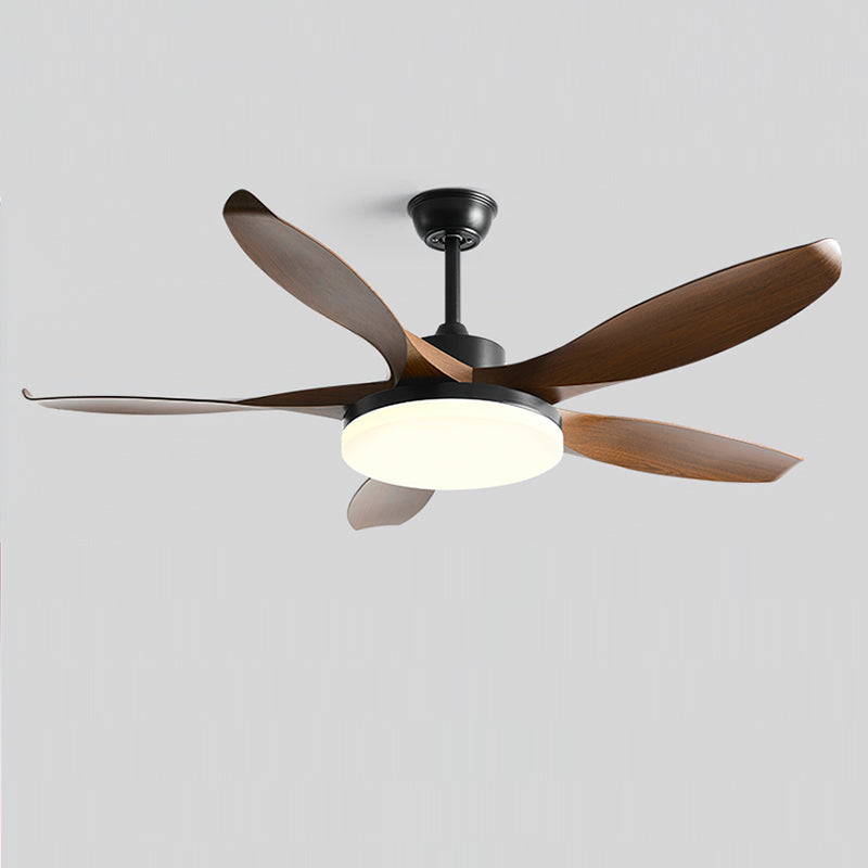 Liororeria Ceiling Fan Light