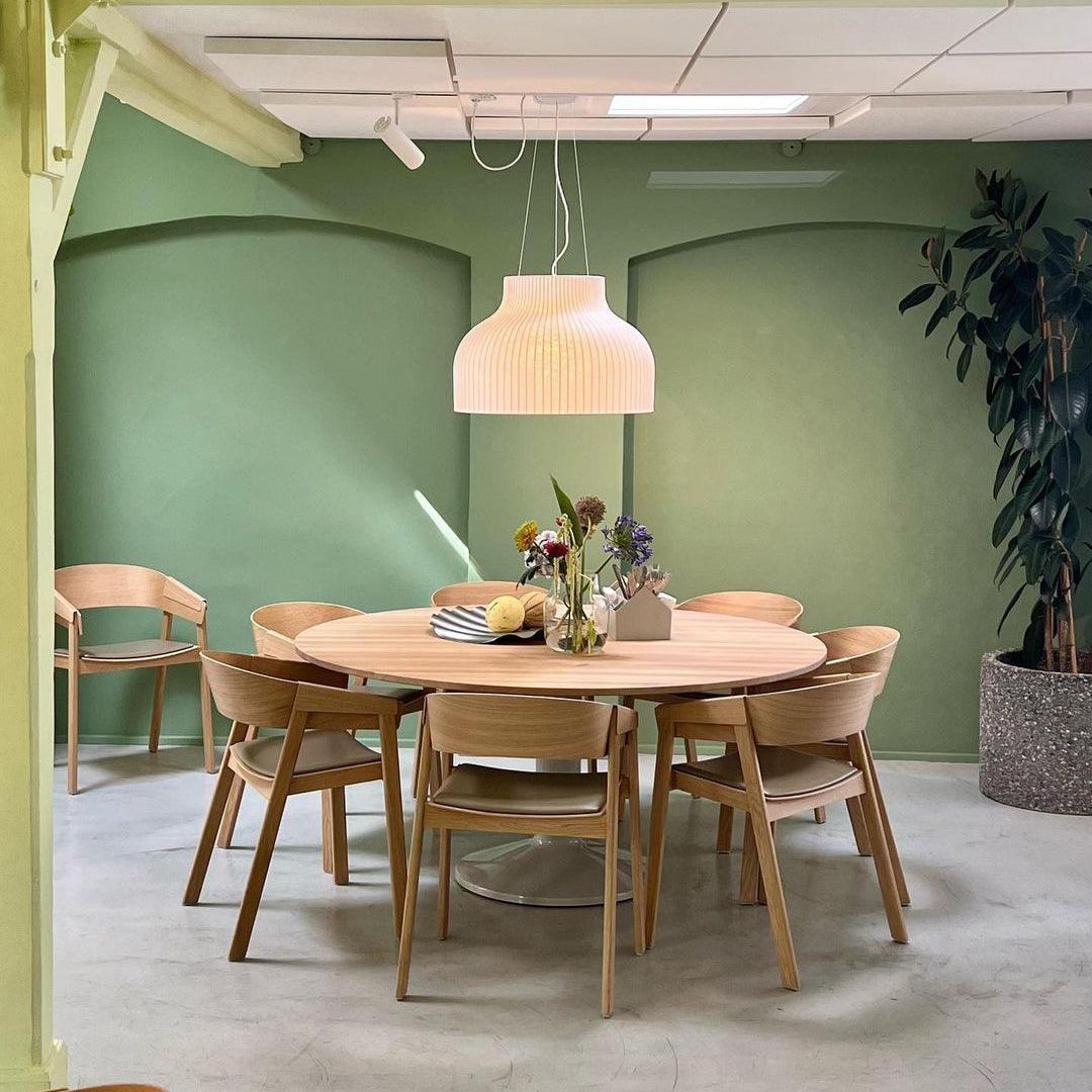 Synaria Pendant Light