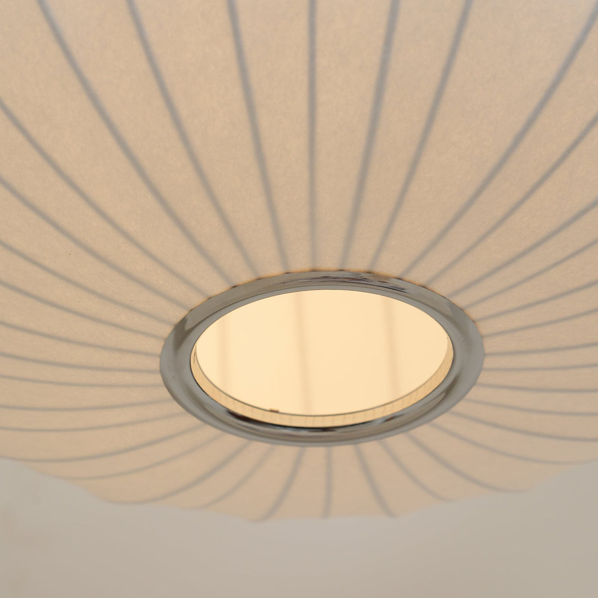 Synaria Pendant Light
