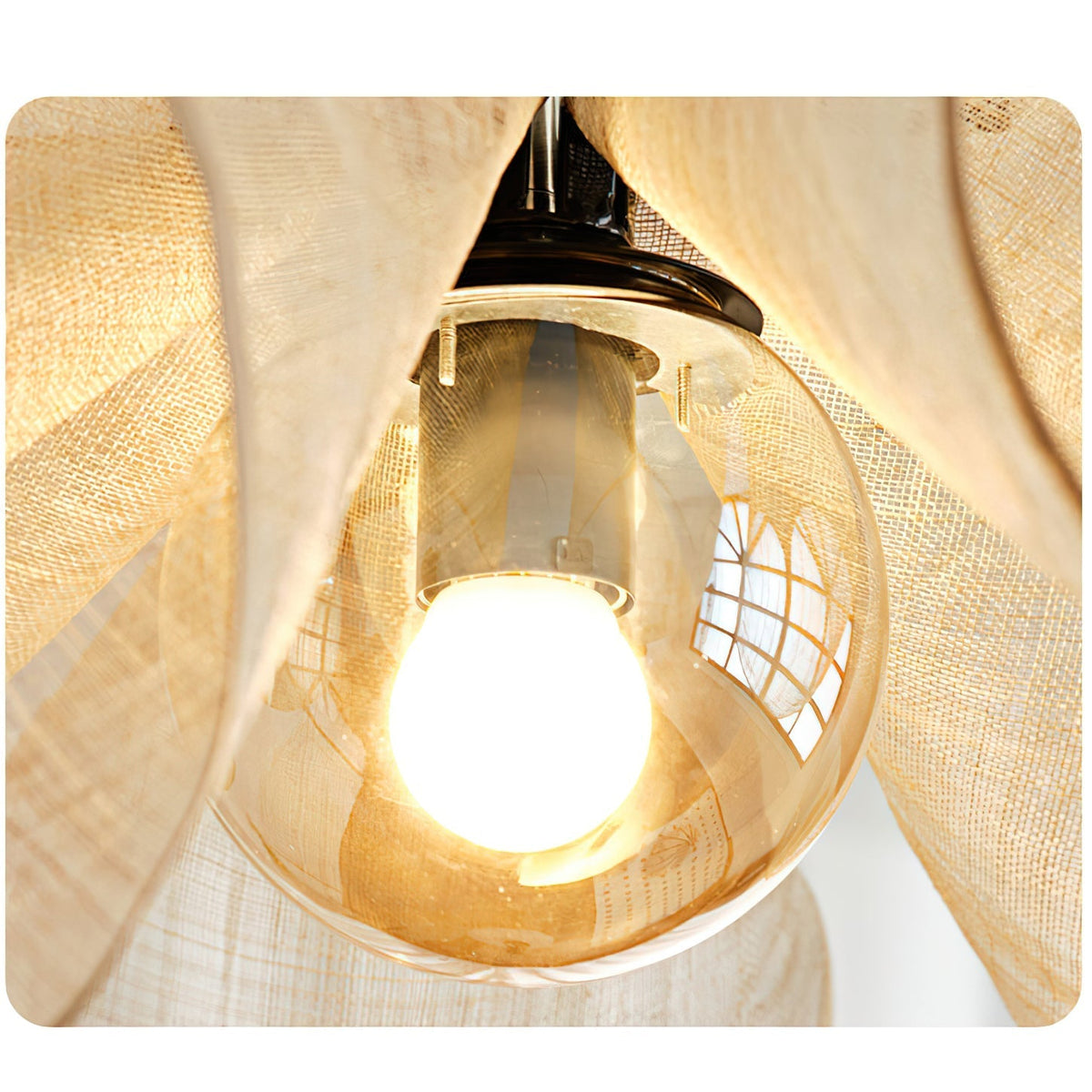 Evelora Pendant Light