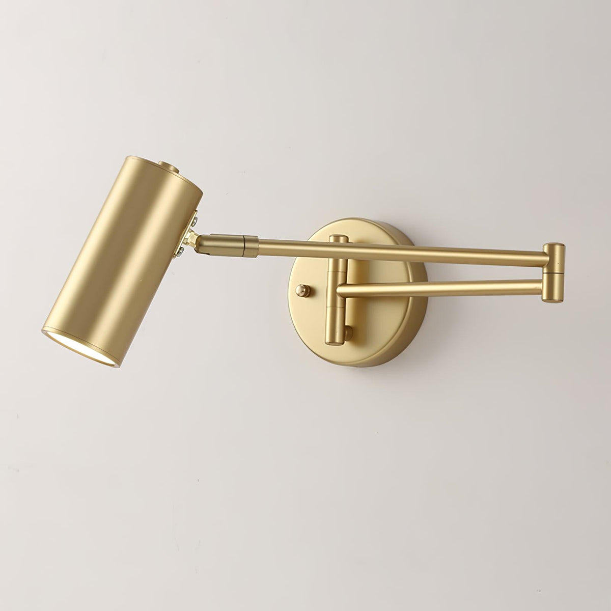 Padenis Adjustable Swing Arm Wall Lamp
