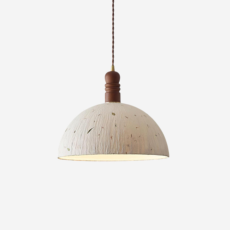 Lioroine Dome Pendant Lamp
