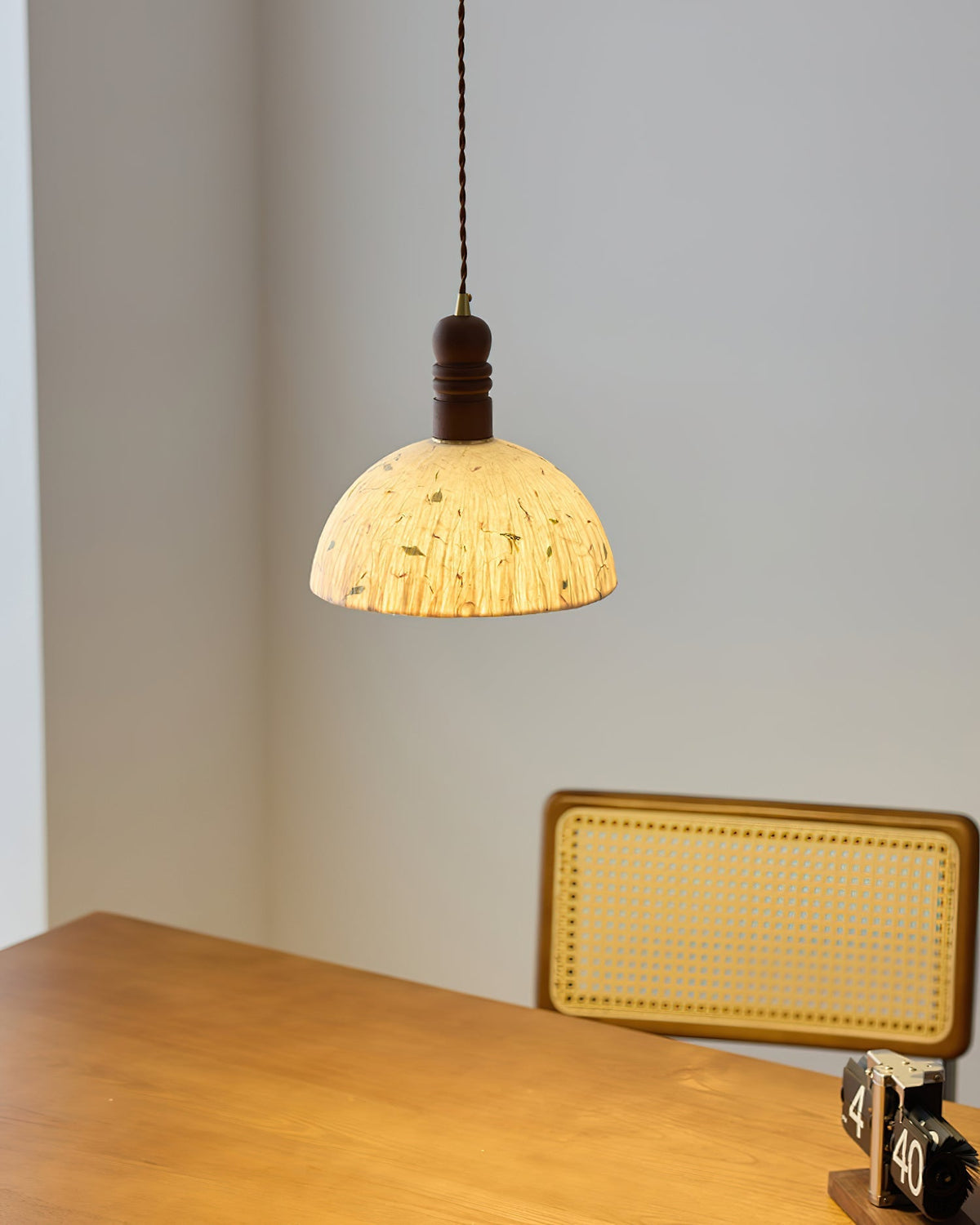 Lioroine Dome Pendant Lamp