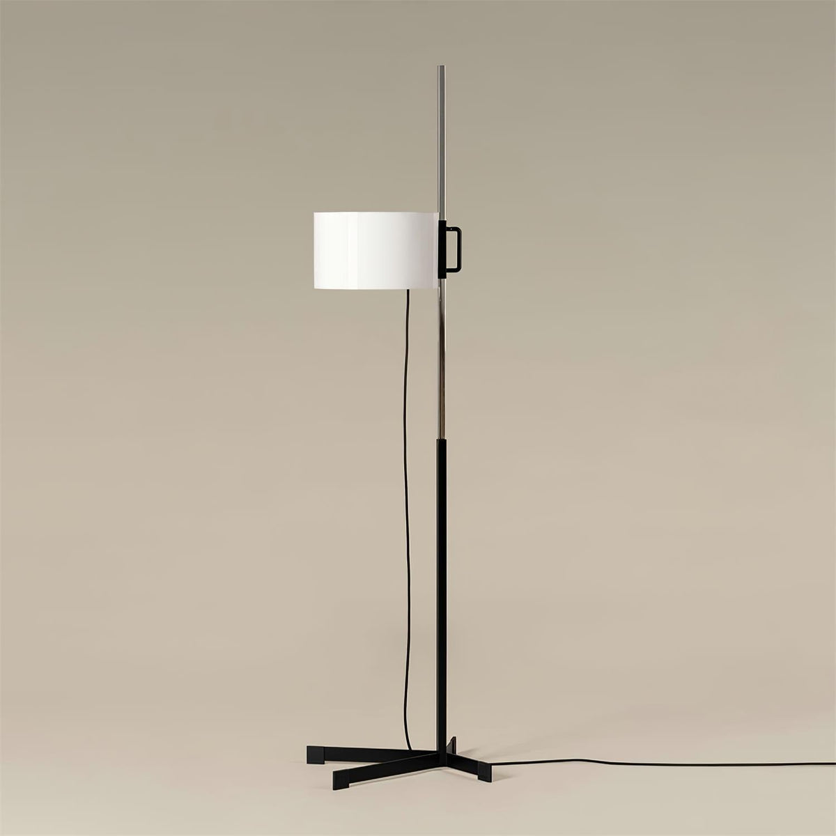 Reniselia Floor Lamp