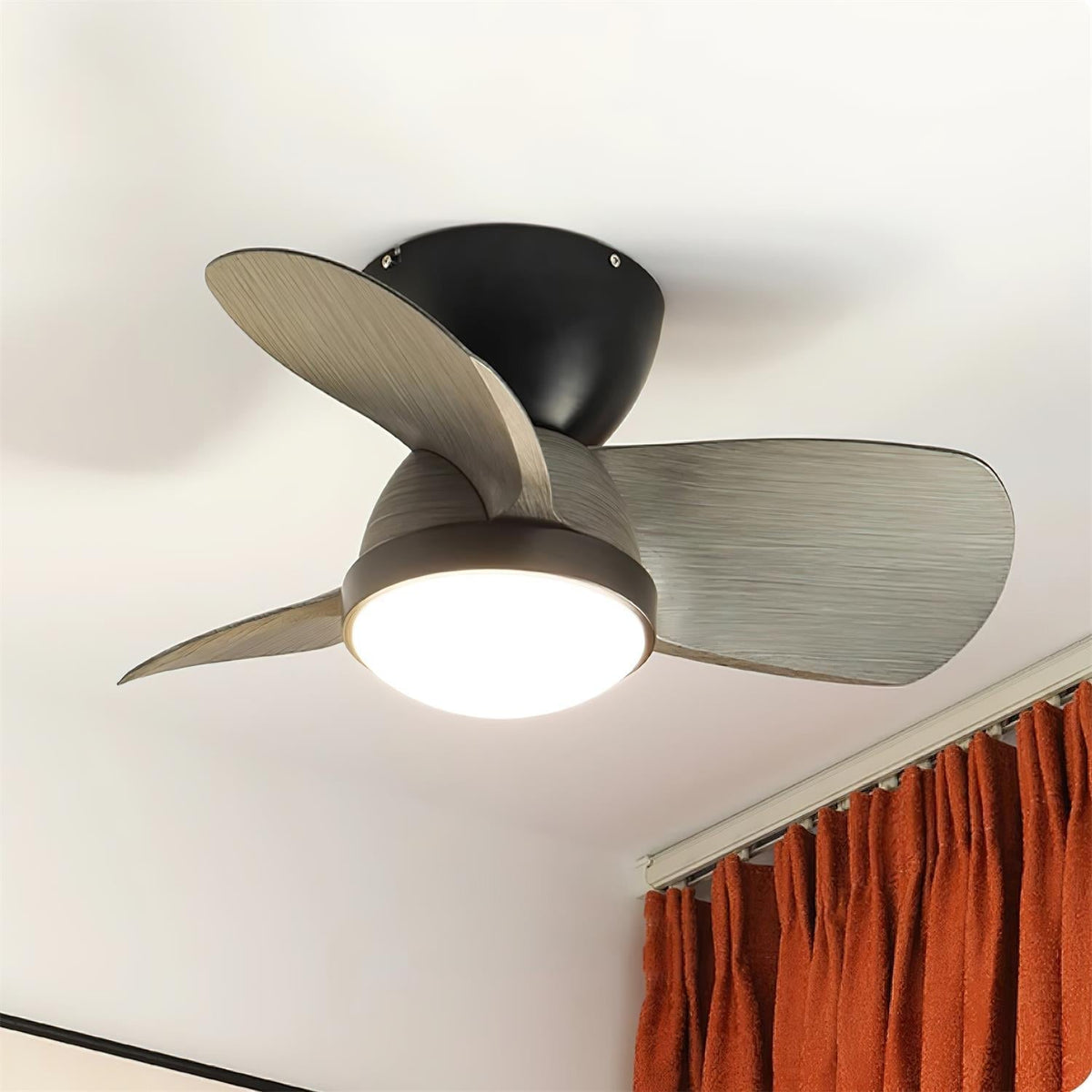 Lioraleria Ceiling Fan Light