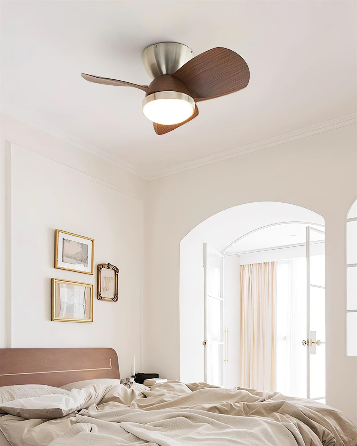 Lioraleria Ceiling Fan Light