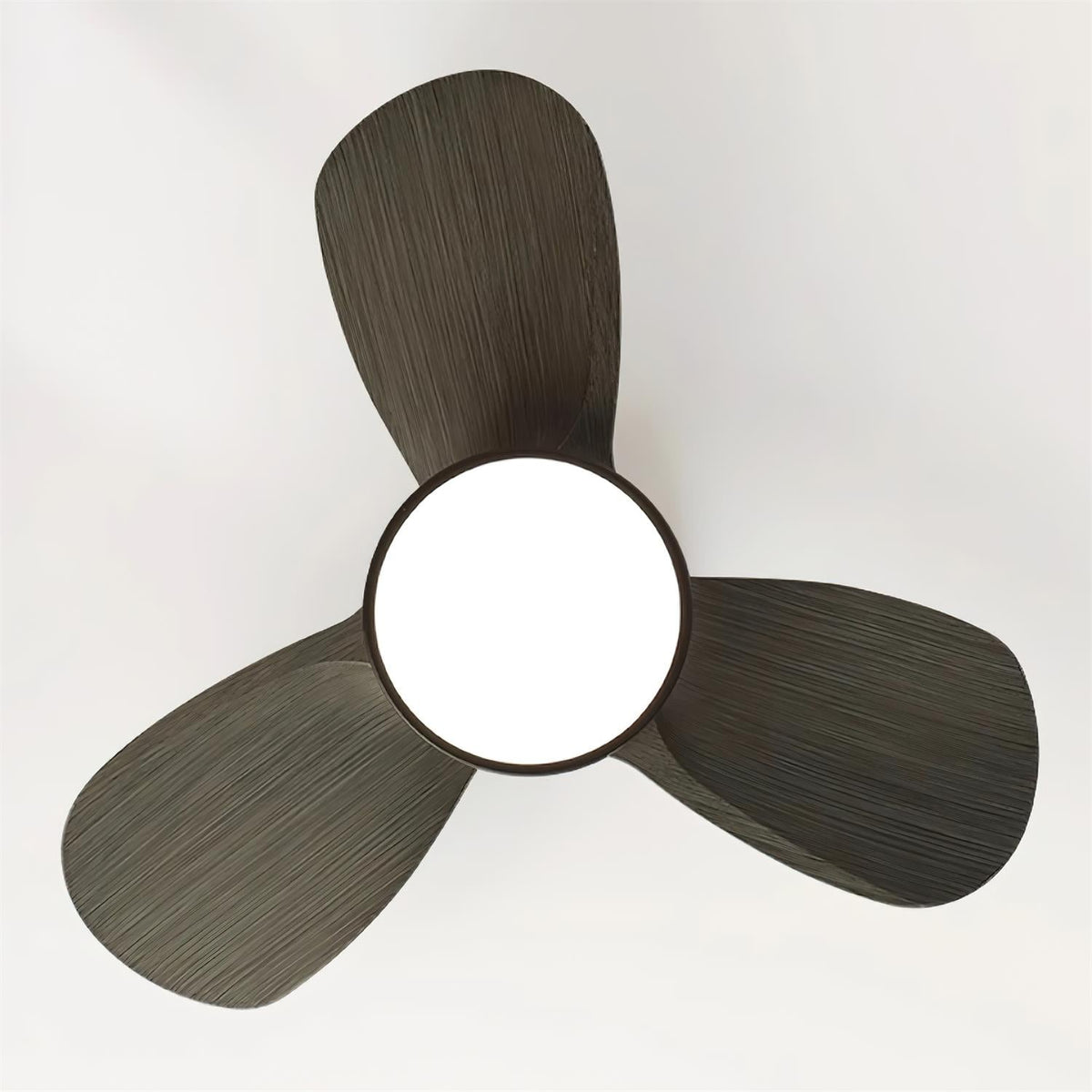 Lioraleria Ceiling Fan Light