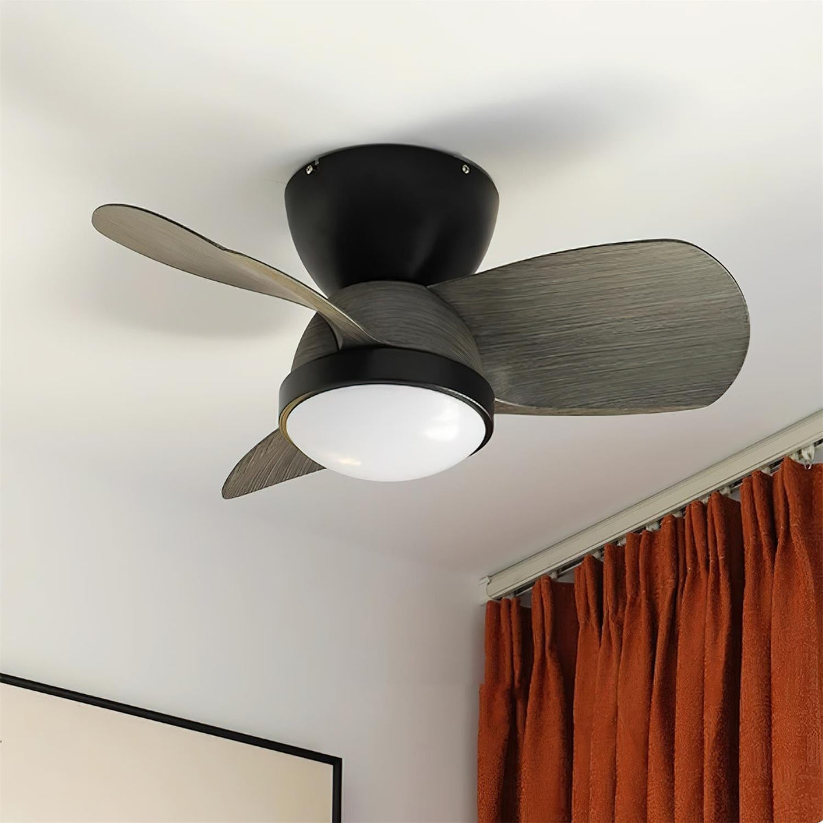 Lioraleria Ceiling Fan Light