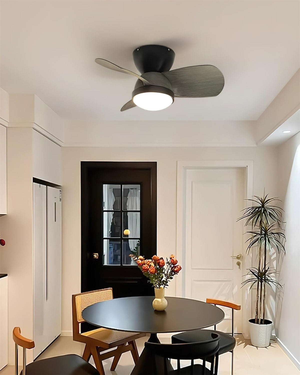 Lioraleria Ceiling Fan Light