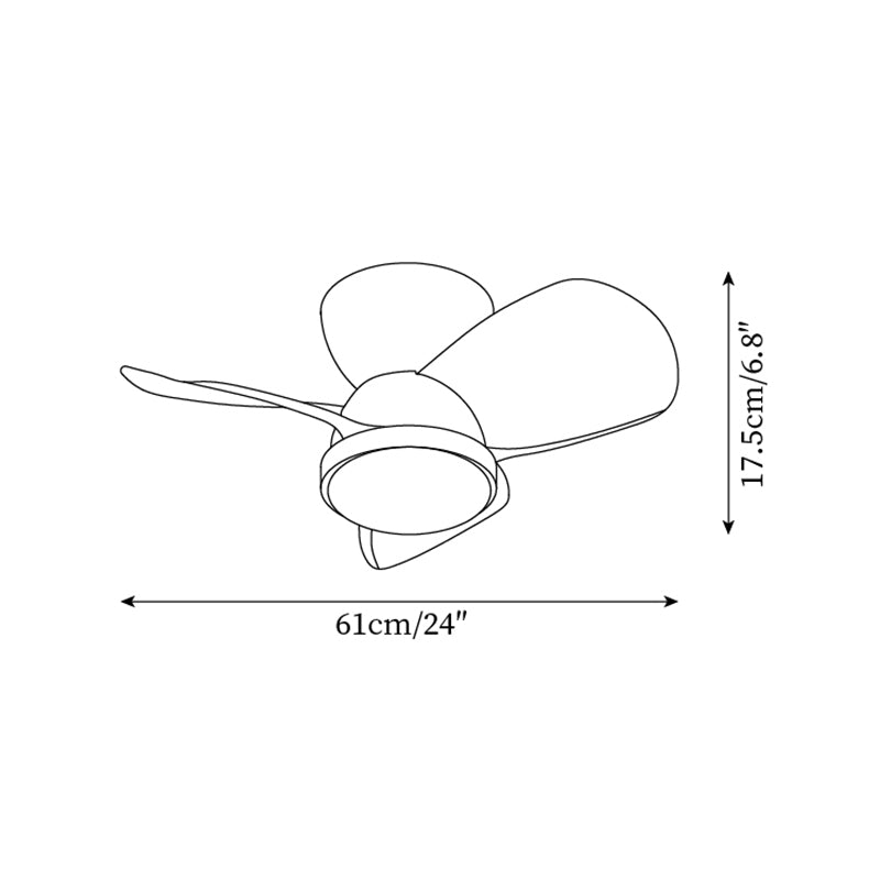 Lioraleria Ceiling Fan Light