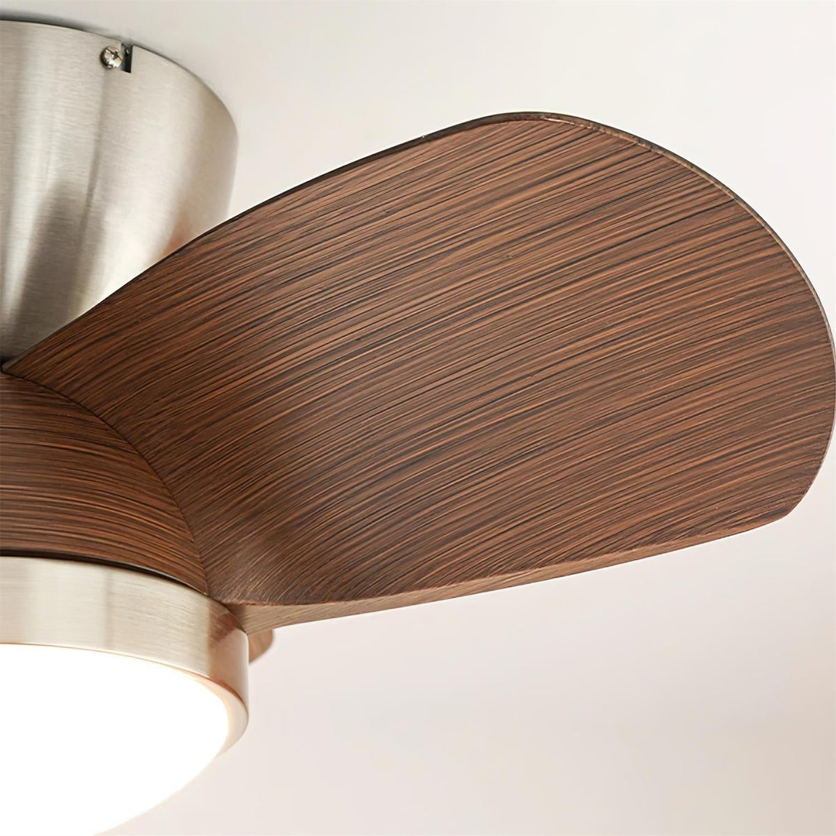 Lioraleria Ceiling Fan Light
