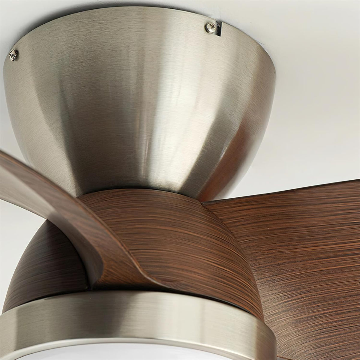 Lioraleria Ceiling Fan Light