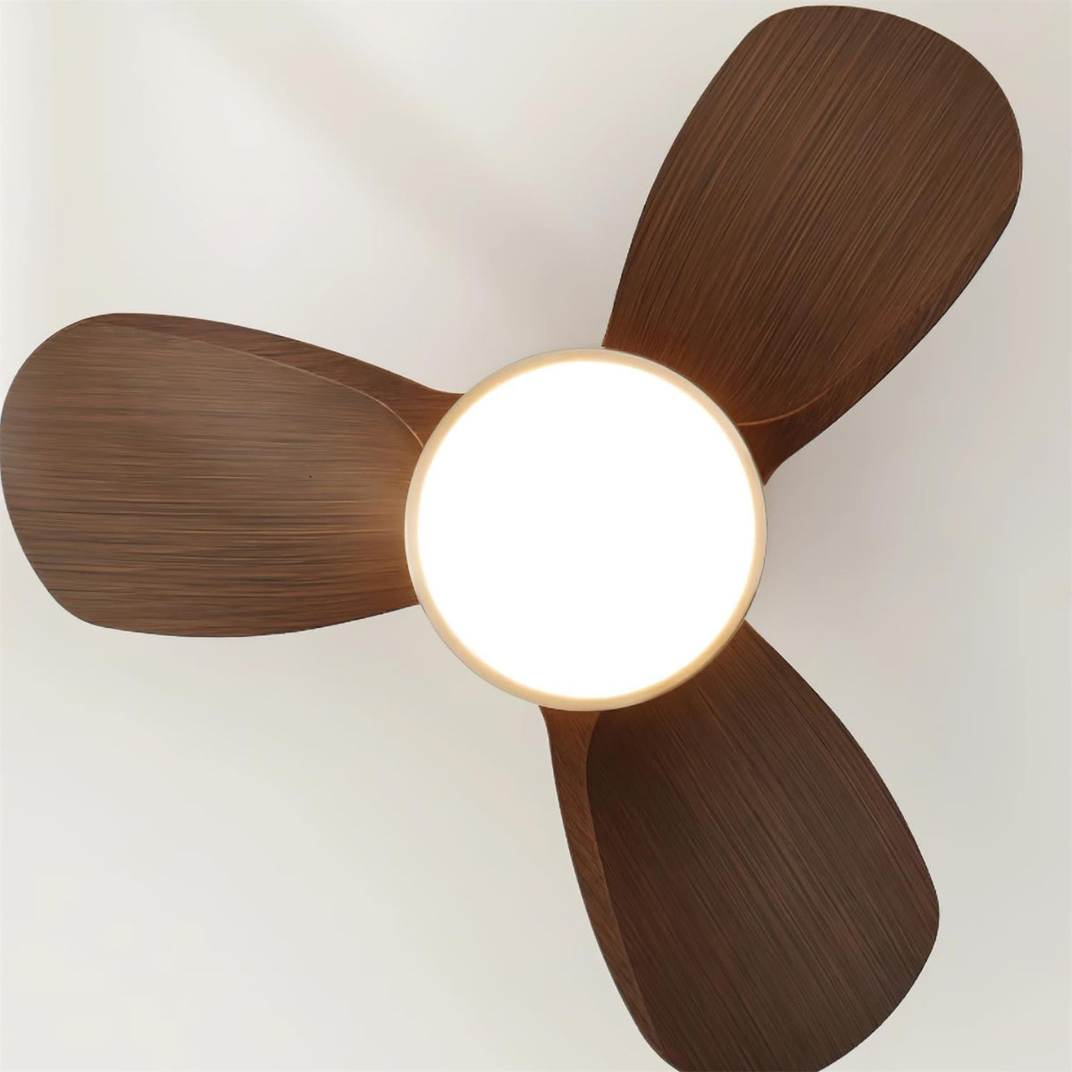 Lioraleria Ceiling Fan Light