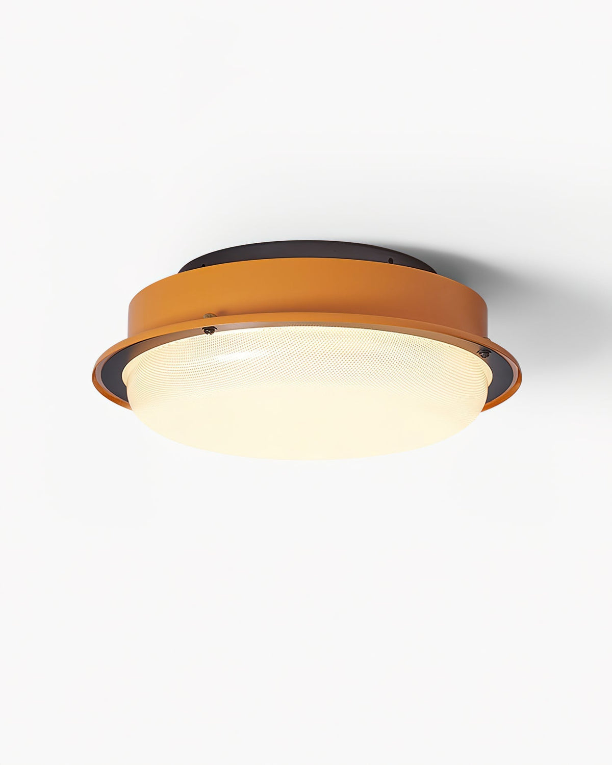 Orelelel Flush Mount Ceiling Lamp