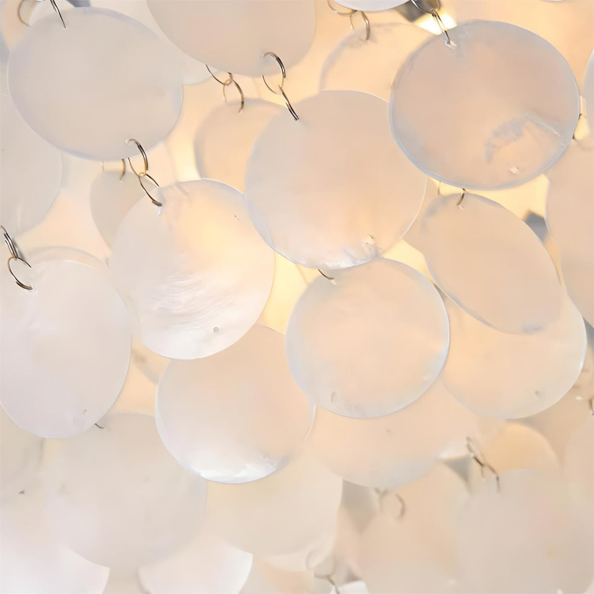 Coralian Shell Chandelier