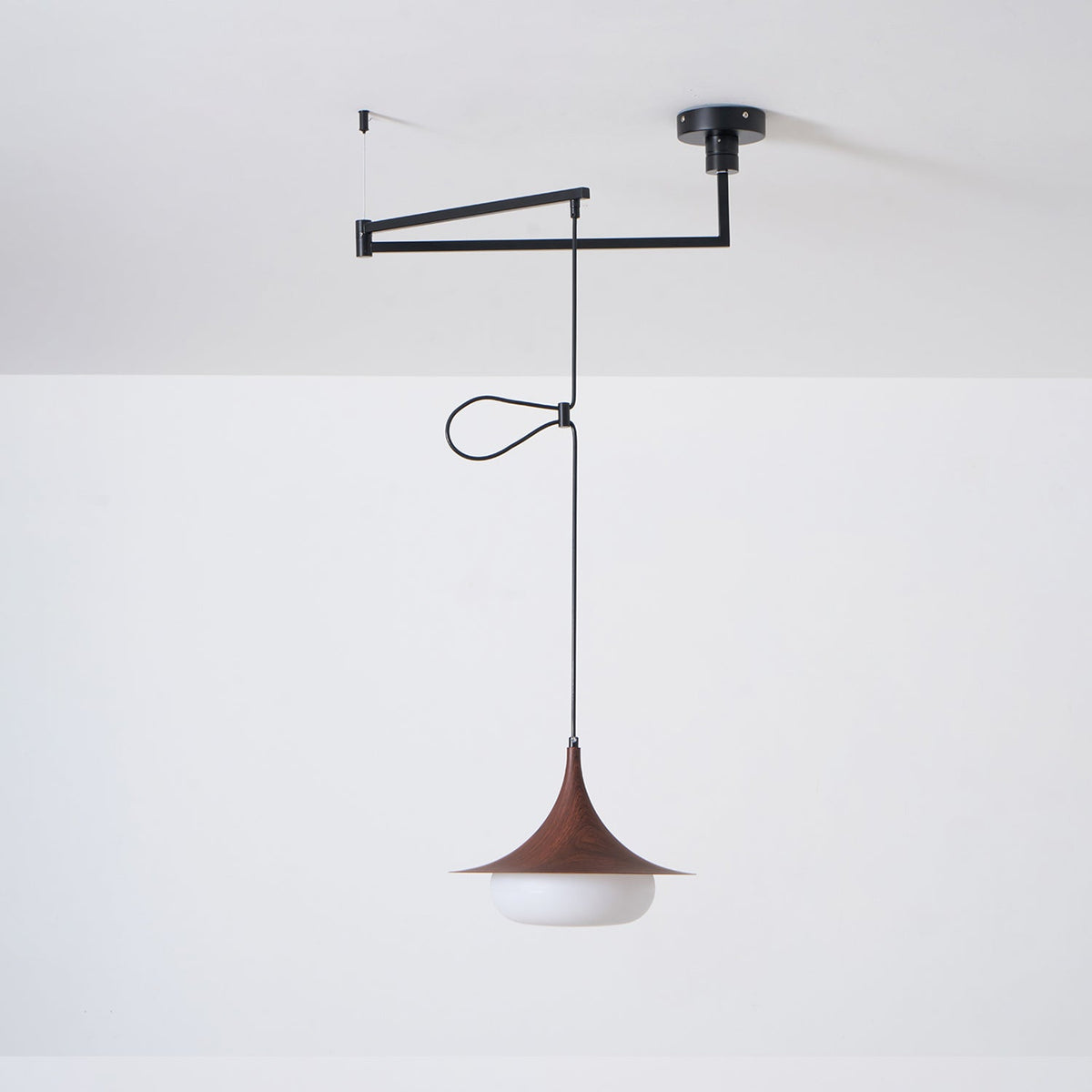 Selanenne Pendant Light