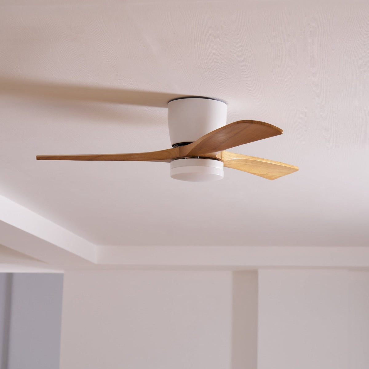 Miroise Ceiling Fan Light