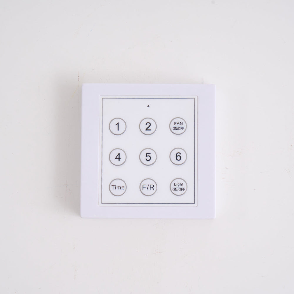 Miroise Ceiling Fan Light