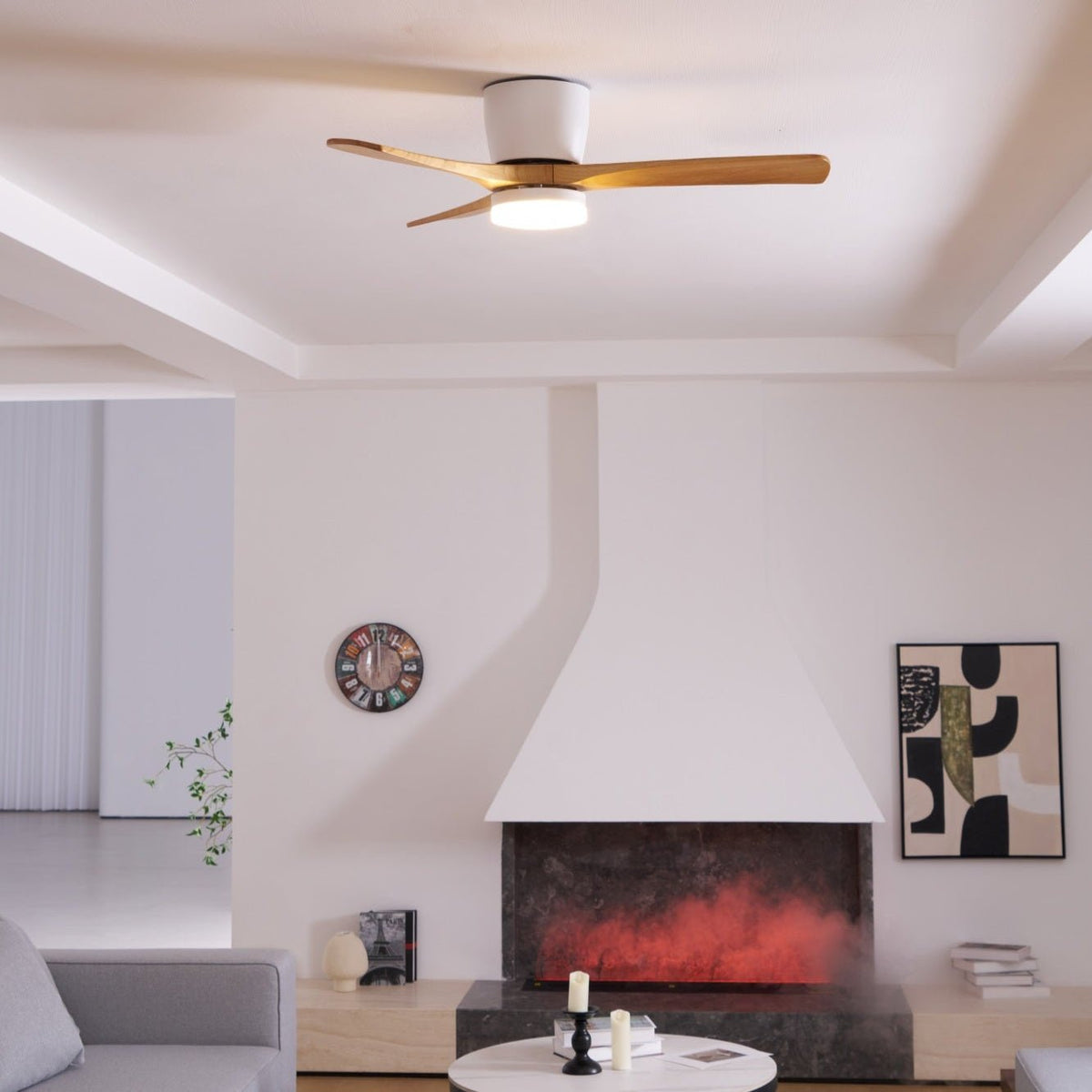 Miroise Ceiling Fan Light