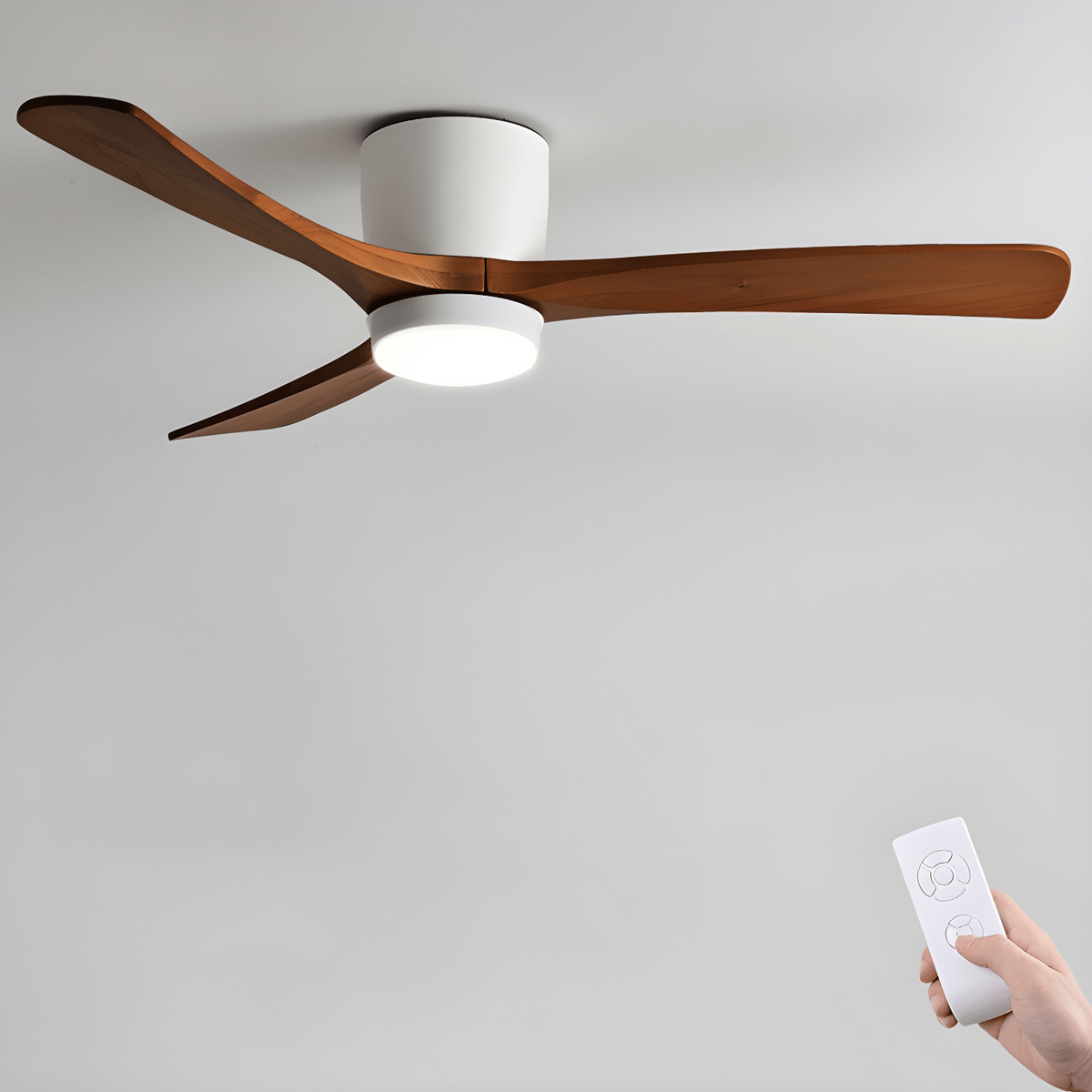 Miroise Ceiling Fan Light