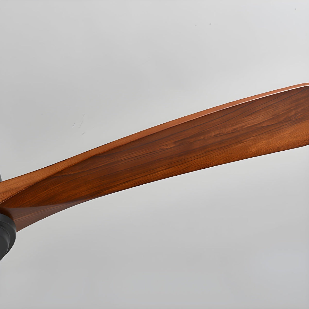 Miroise Ceiling Fan Light