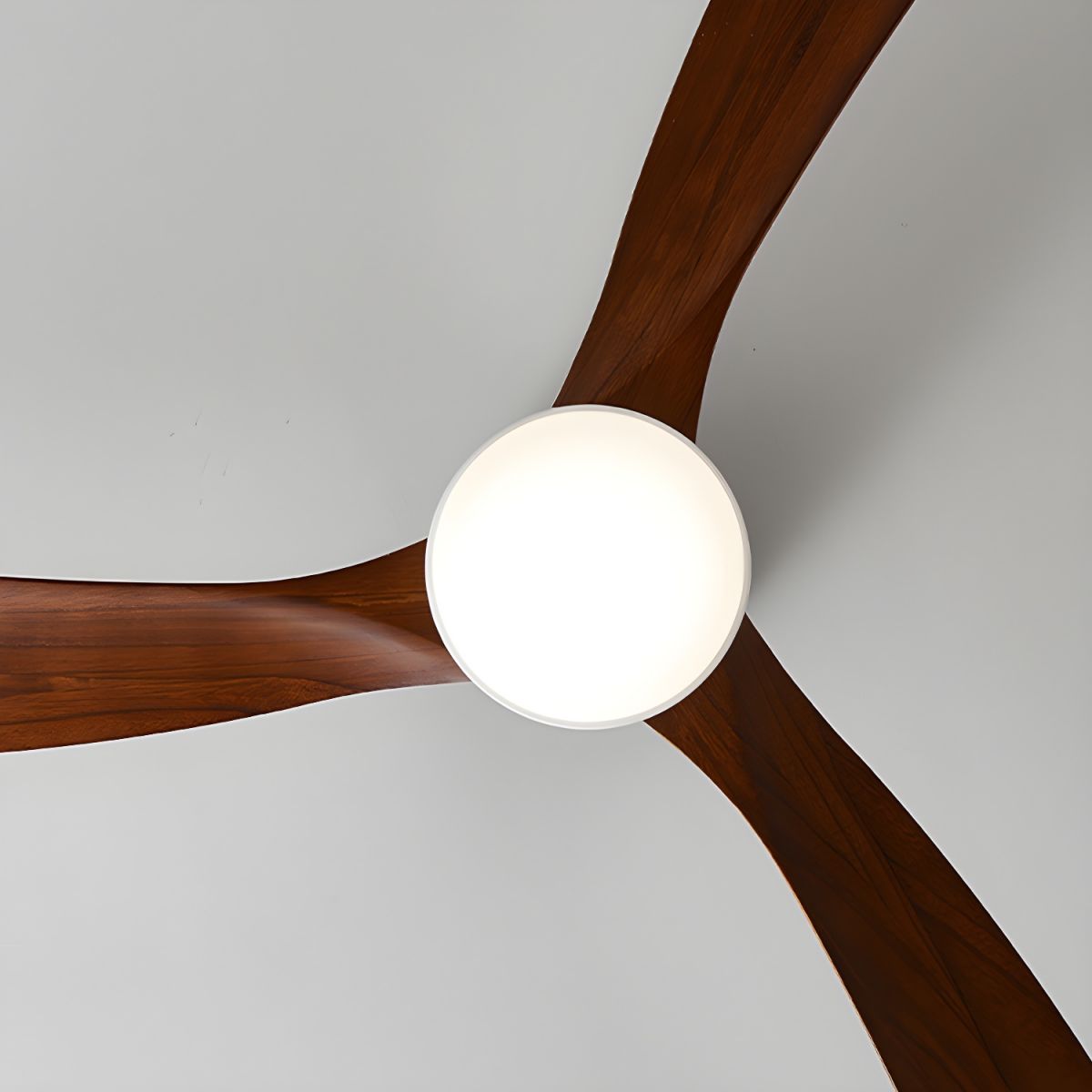 Miroise Ceiling Fan Light