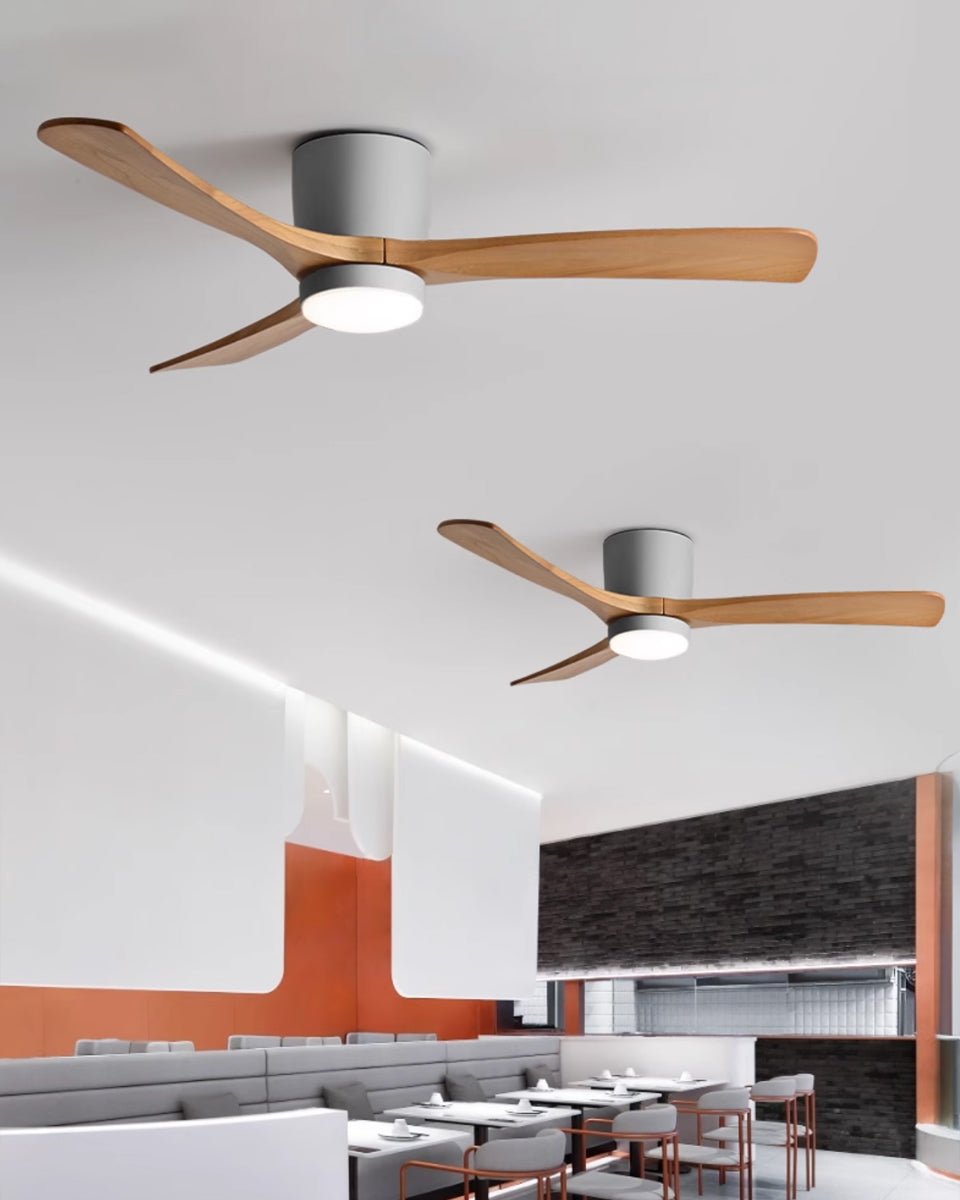 Miroise Ceiling Fan Light