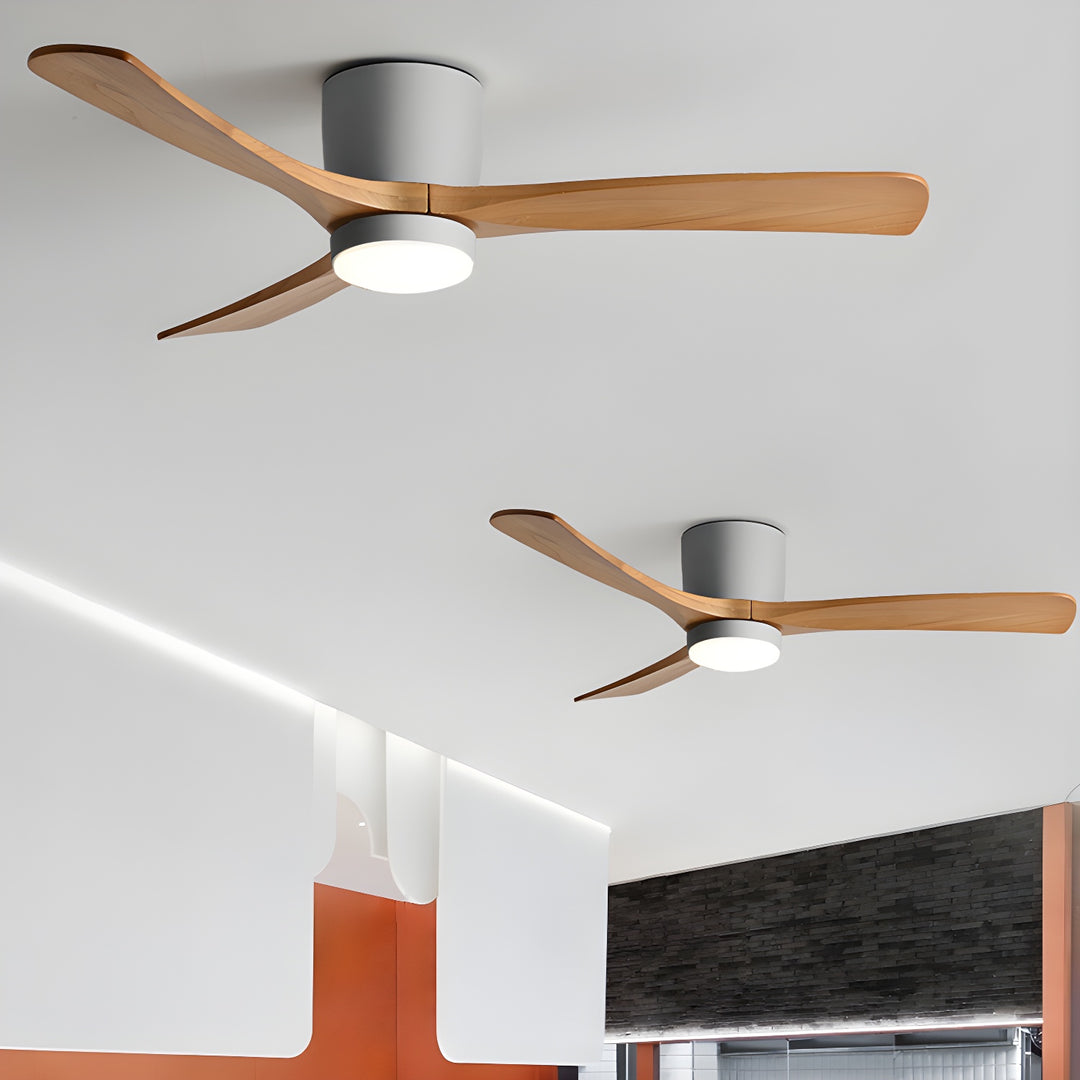 Miroise Ceiling Fan Light