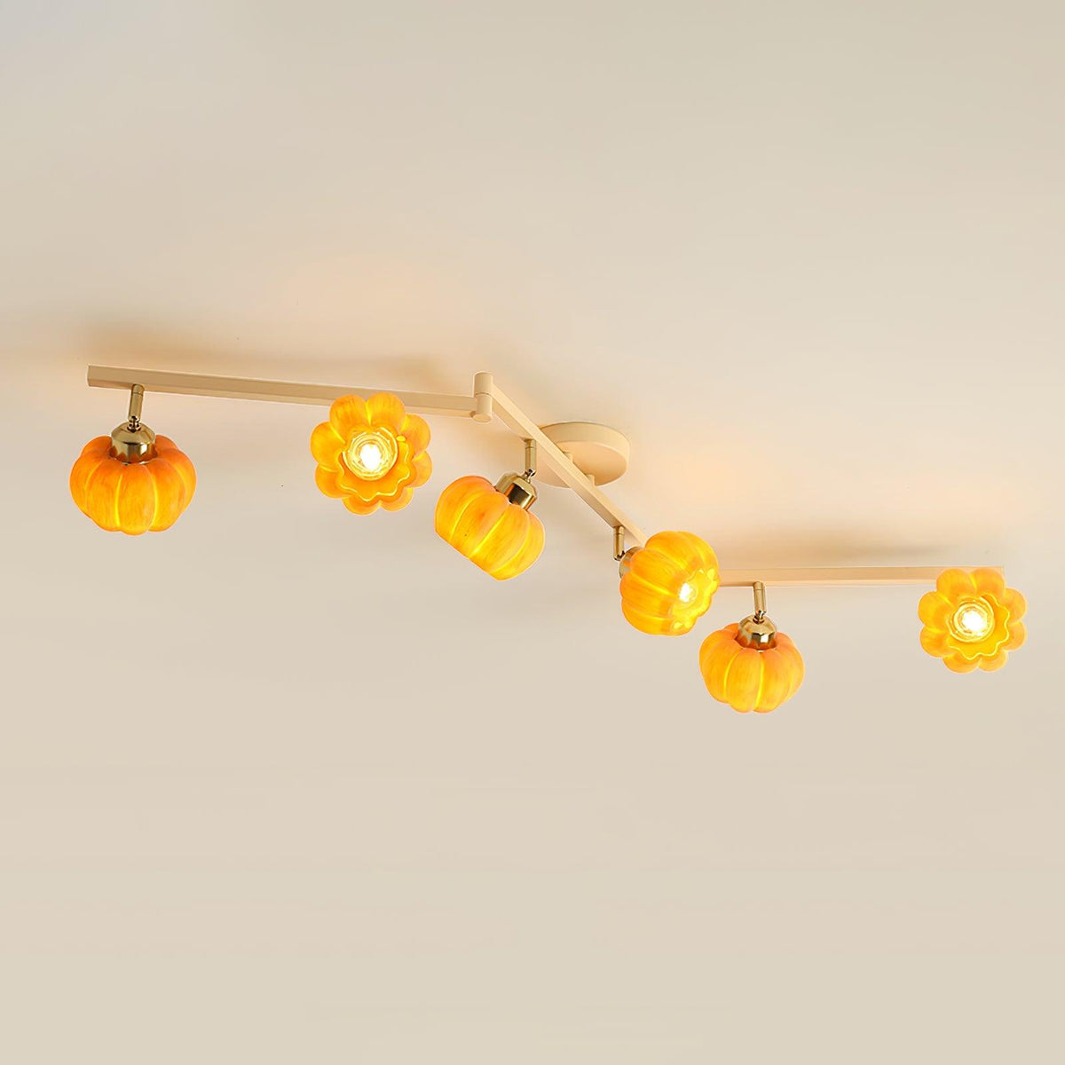 Sororeon Ceiling Light