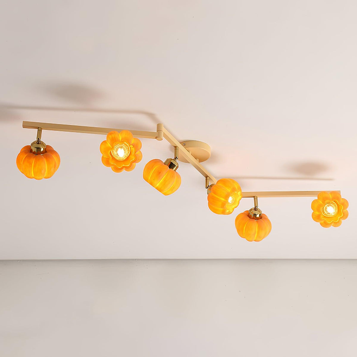 Sororeon Ceiling Light
