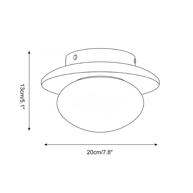 Avenoreria Ceiling Light
