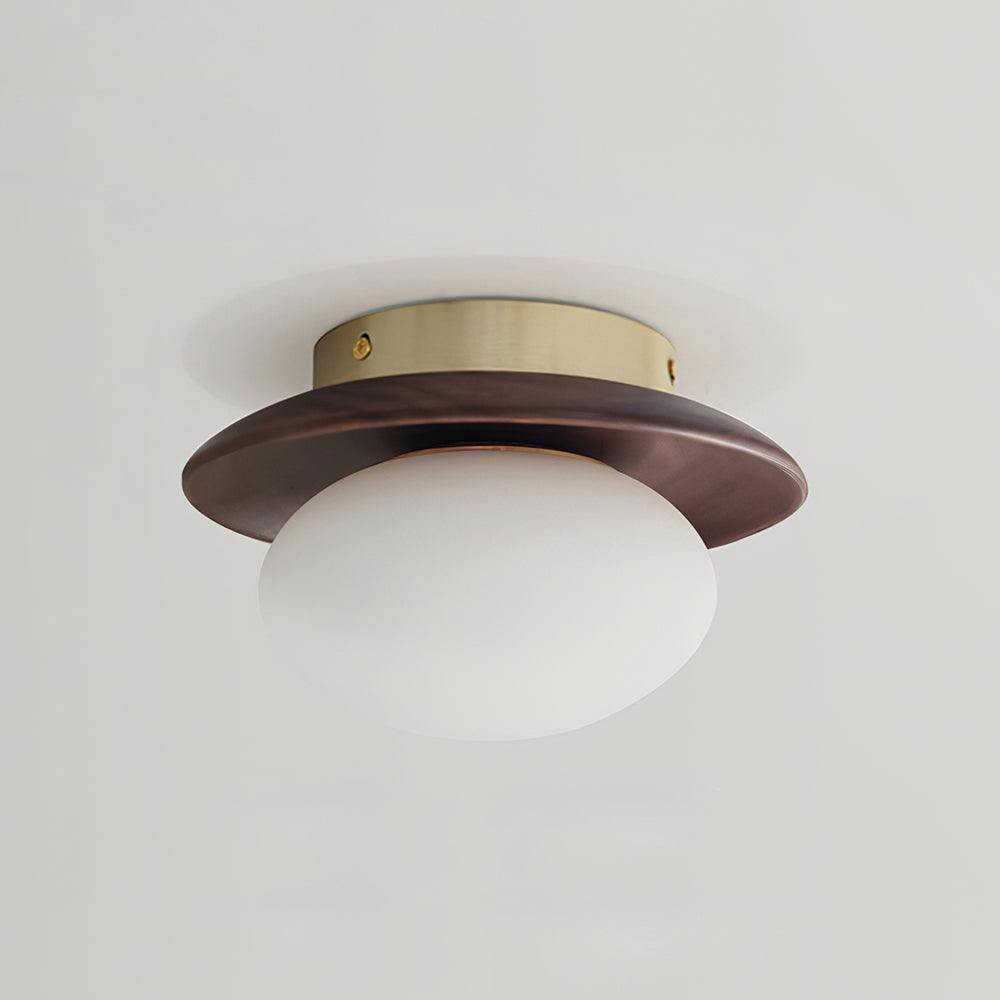 Avenoreria Ceiling Light