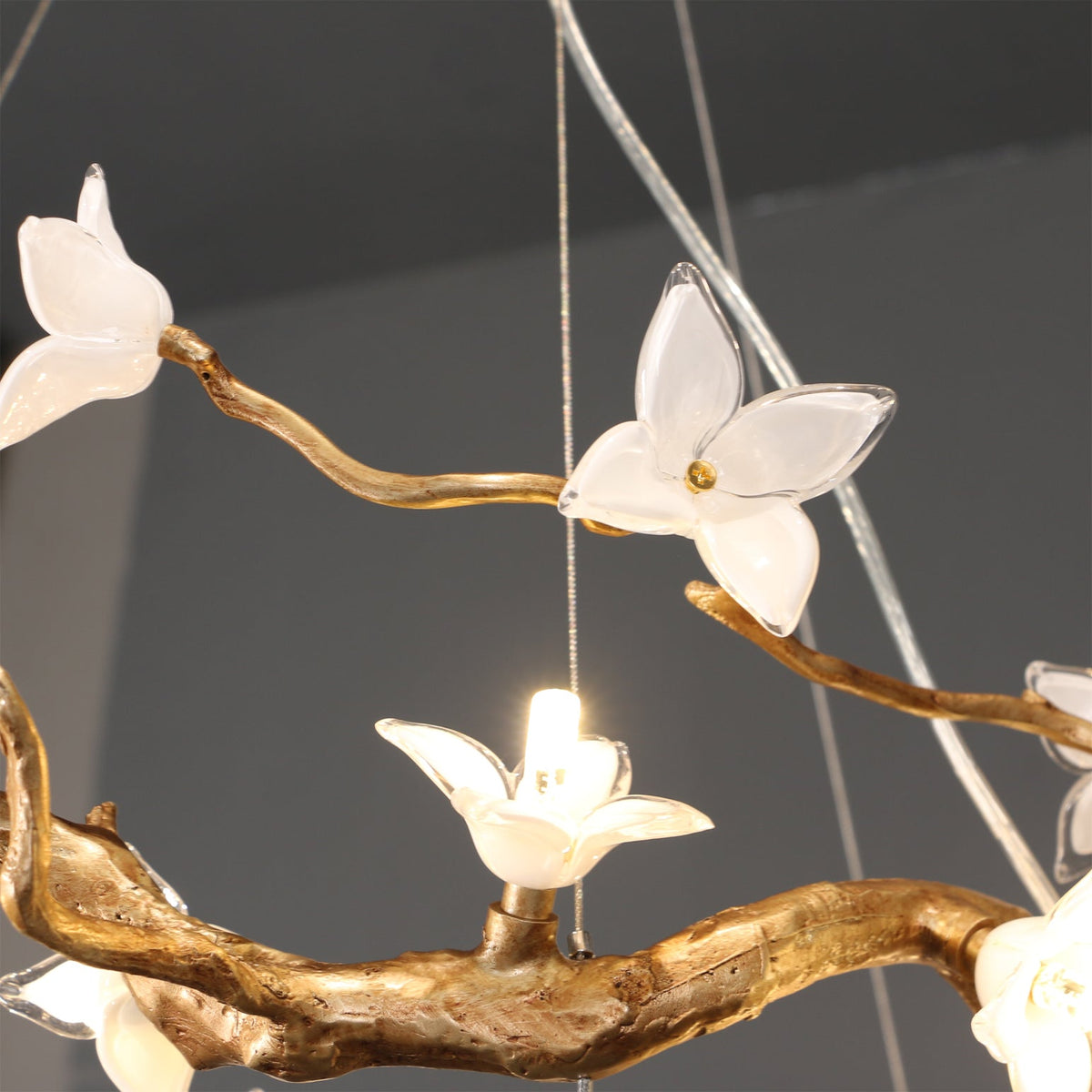 Renoora Chandelier
