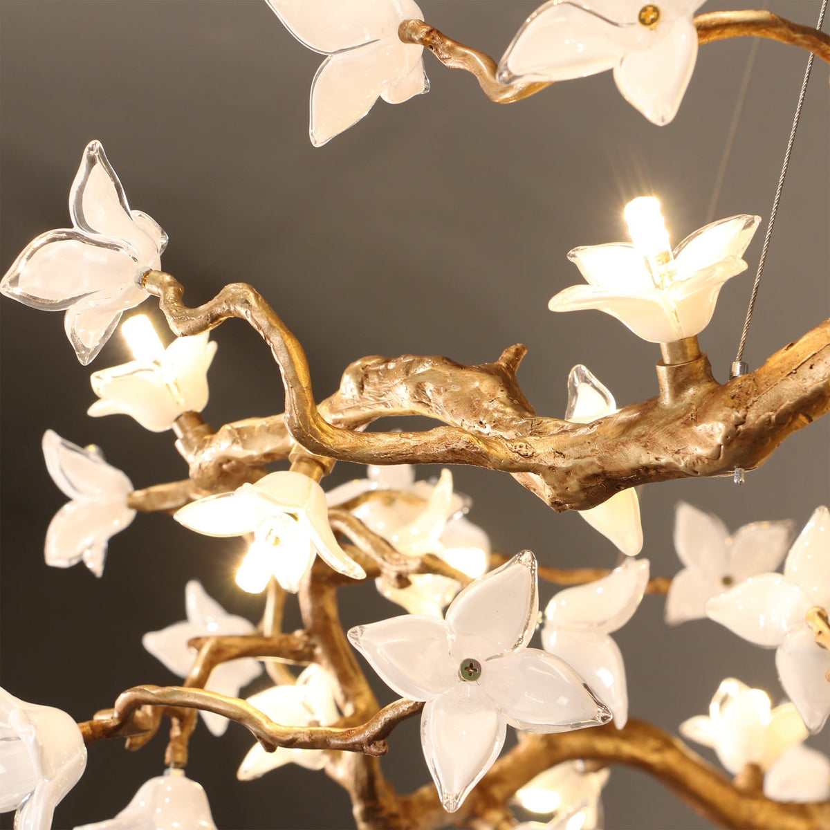 Renoora Chandelier