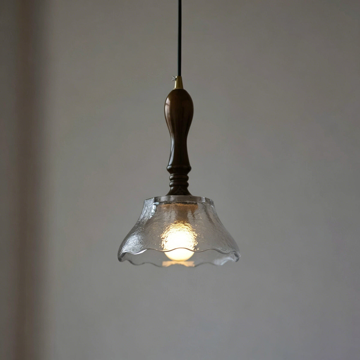 Liorinaya Glass Pendant Light