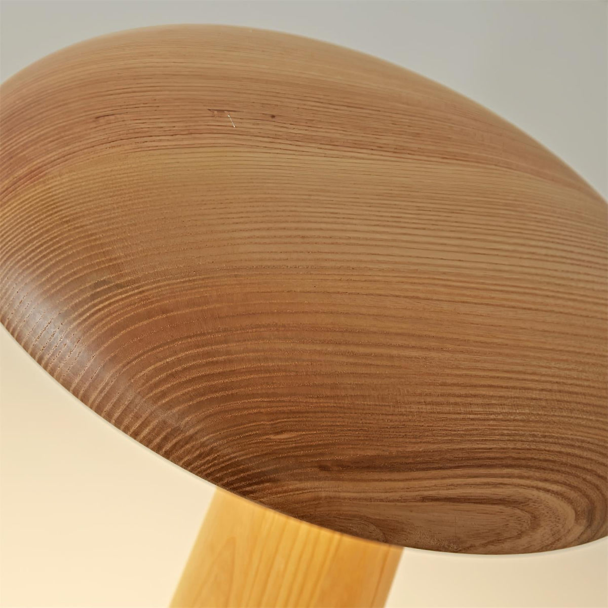 Selelora Table Lamp