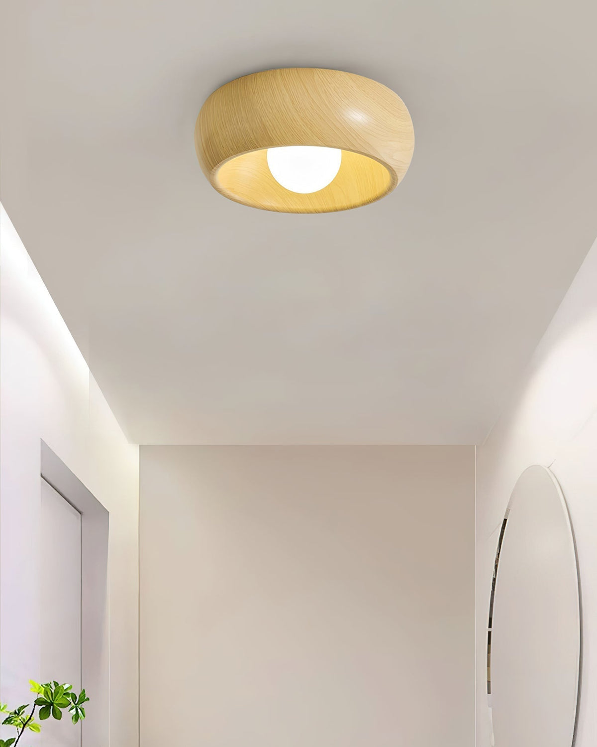 Selivel Ceiling Light